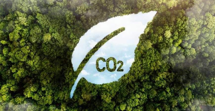 Endüstriyel Ambalaj Sektöründe Karbon Ayak İzi Nedir? 