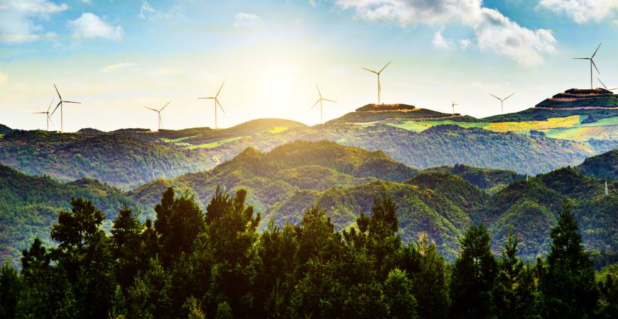 Endüstriyel Ambalaj Sektöründe Sürdürülebilirlik Neden Geleceğin Ana Stratejisidir?